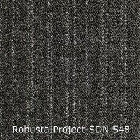Robusta Project-SDN 548